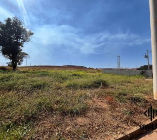 WhatsApp Image 2025-08-21 at 15.16.49 (15)