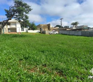 WhatsApp Image 2024-10-18 at 12.08.52 (3)