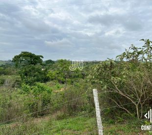 Imagem do WhatsApp de 2024-11-11 à(s) 11.12.16_40e6feed