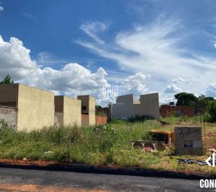 WhatsApp Image 2025-02-28 at 10.14.18