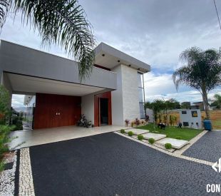 WhatsApp Image 2025-04-14 at 10.51.46