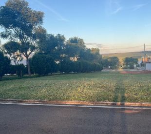 WhatsApp Image 2025-05-26 at 08.22.29 (3)