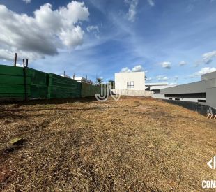 WhatsApp Image 2025-06-05 at 15.37.42 (1)