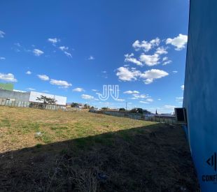 WhatsApp Image 2025-06-27 at 15.27.14