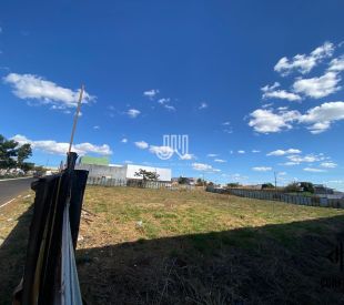 WhatsApp Image 2025-06-27 at 15.27.15