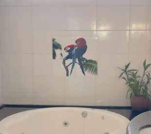 WhatsApp Image 2025-07-17 at 17.11.28 (1)