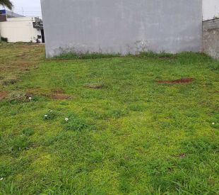 WhatsApp Image 2025-07-22 at 11.42.20 (1)