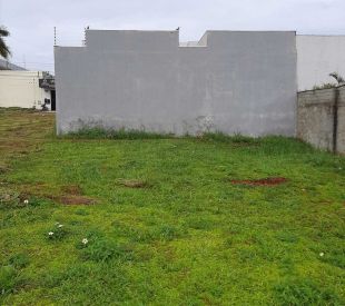 WhatsApp Image 2025-07-22 at 11.42.21