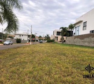 WhatsApp Image 2025-07-23 at 10.34.34 (3)