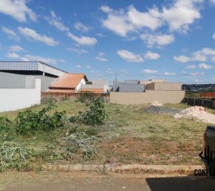 WhatsApp Image 2025-08-13 at 16.05.12